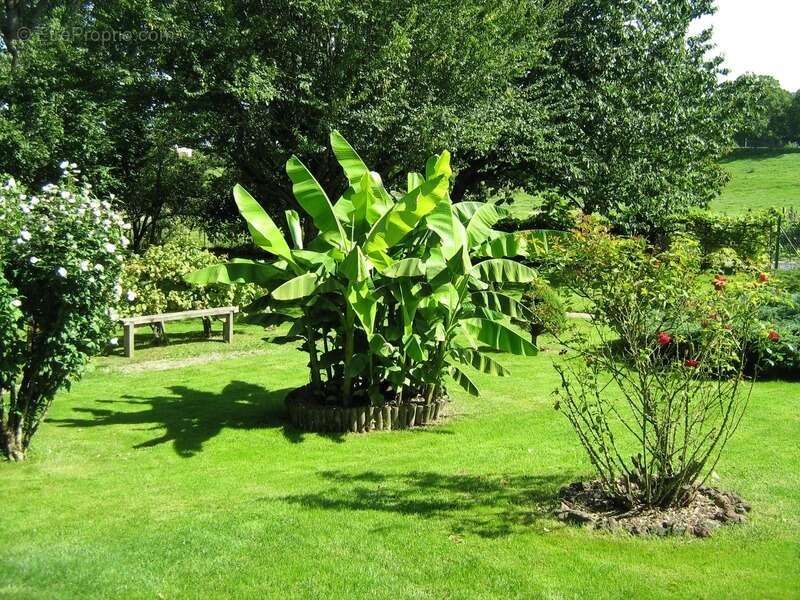 Maison à LES ABRETS