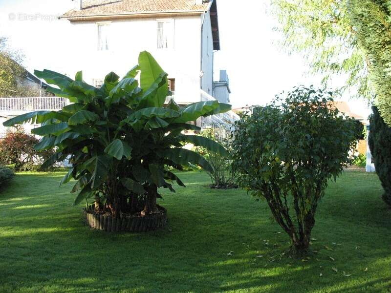 Maison à LES ABRETS