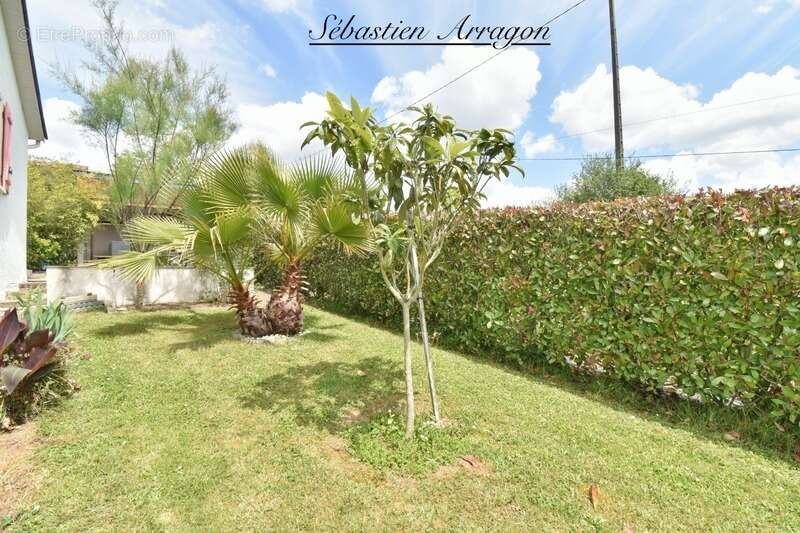 Maison à VILLENEUVE-SUR-LOT