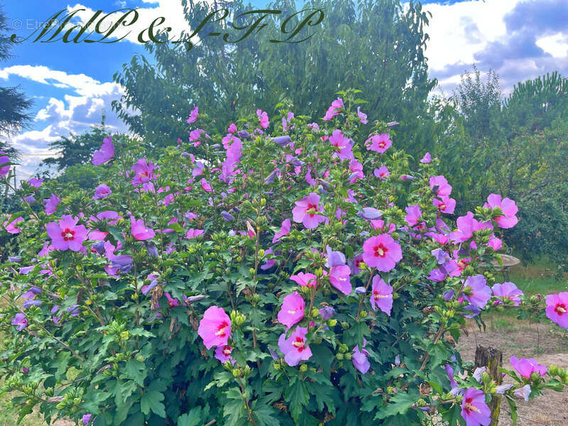 Maison à SAINT-MAGNE-DE-CASTILLON