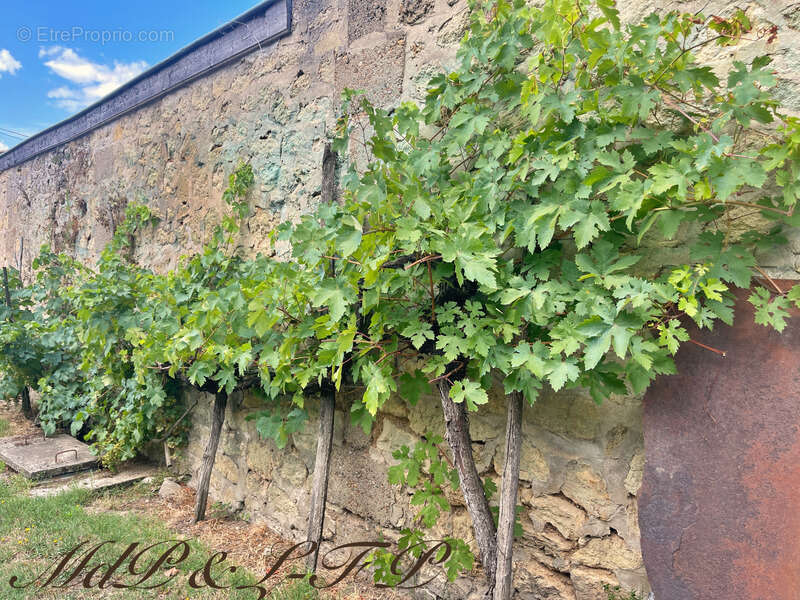 Maison à SAINT-MAGNE-DE-CASTILLON