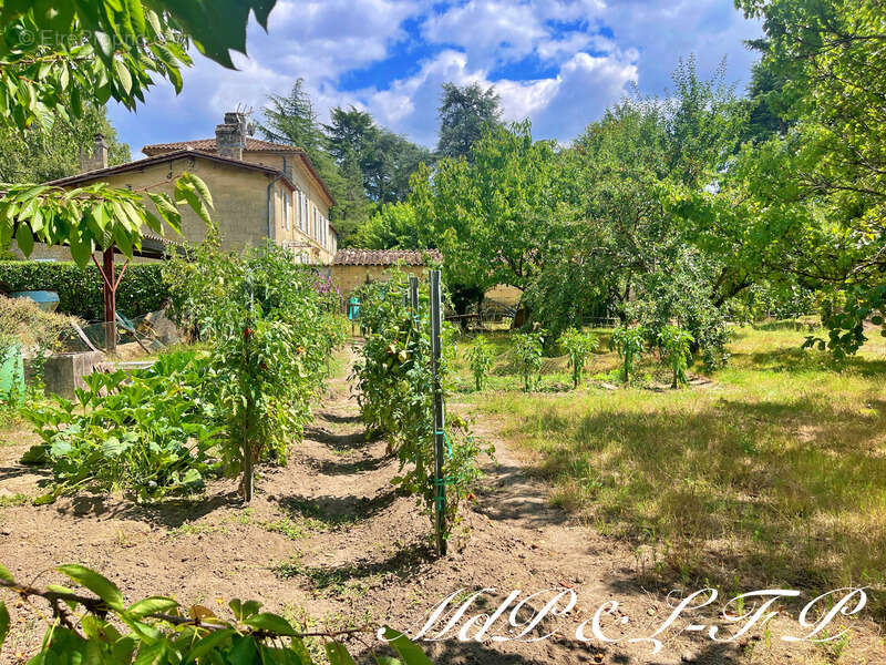Maison à SAINT-MAGNE-DE-CASTILLON