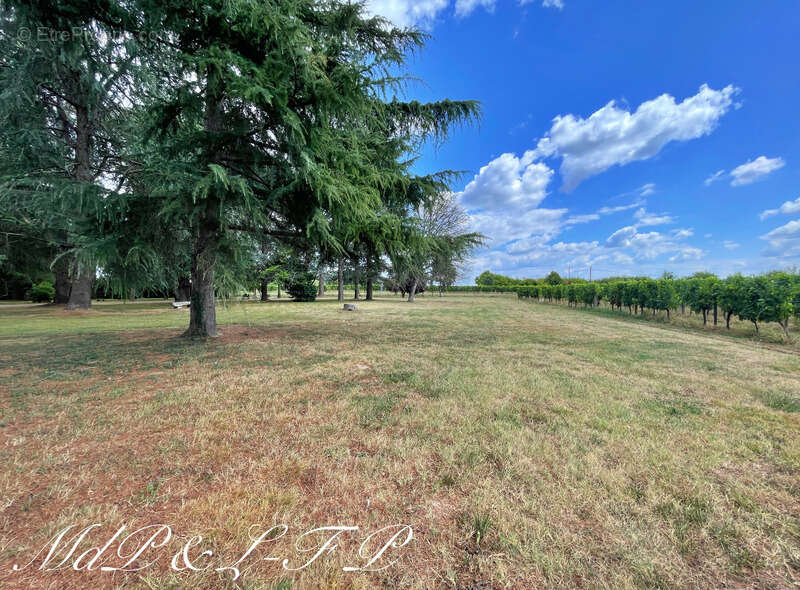 Maison à SAINT-MAGNE-DE-CASTILLON