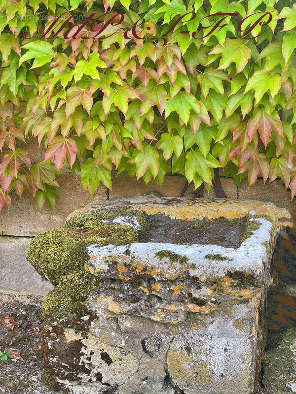 Maison à SAINT-MAGNE-DE-CASTILLON