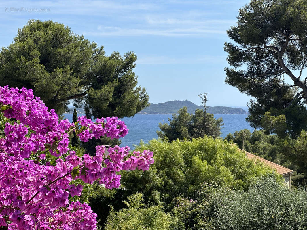 Maison à CARQUEIRANNE