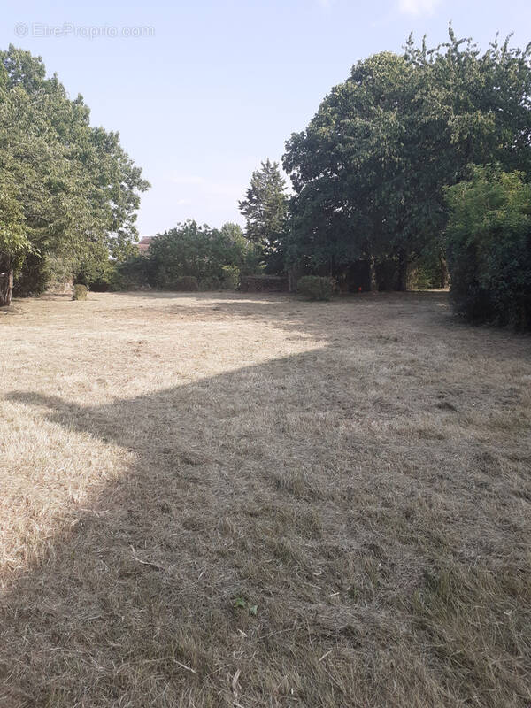 Terrain à LA VILLENEUVE-EN-CHEVRIE