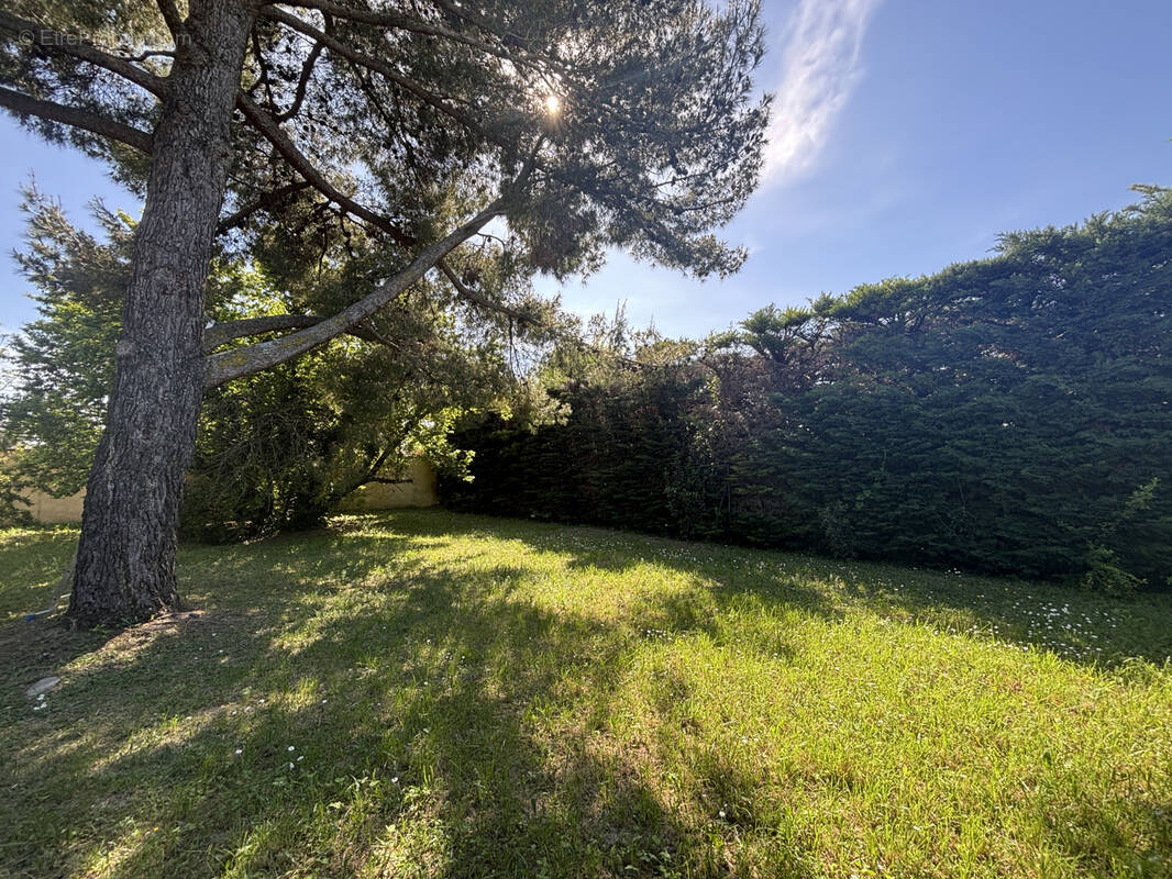 Terrain à LIVRON-SUR-DROME