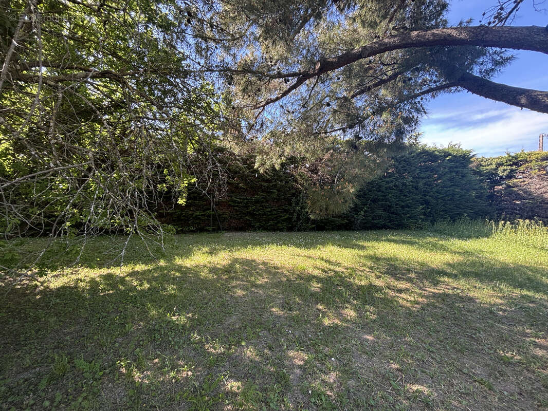 Terrain à LIVRON-SUR-DROME