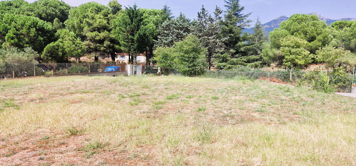 Terrain à LE PERTHUS