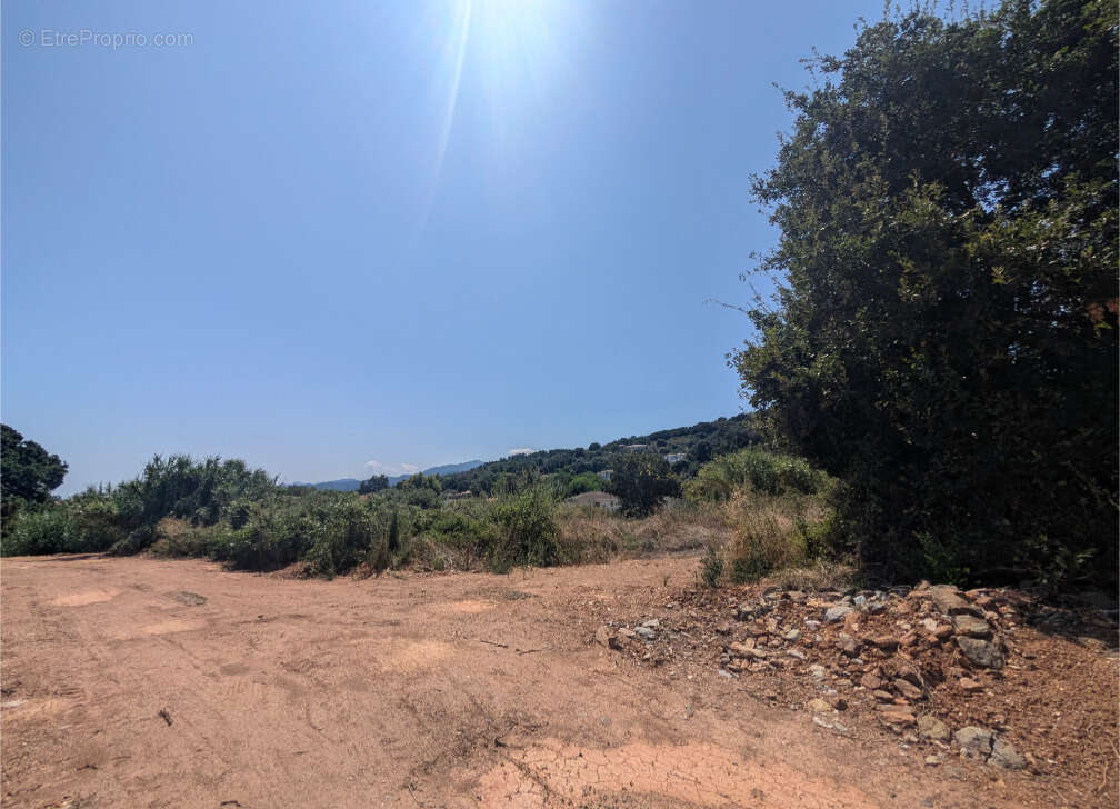 Appartement à BORGO