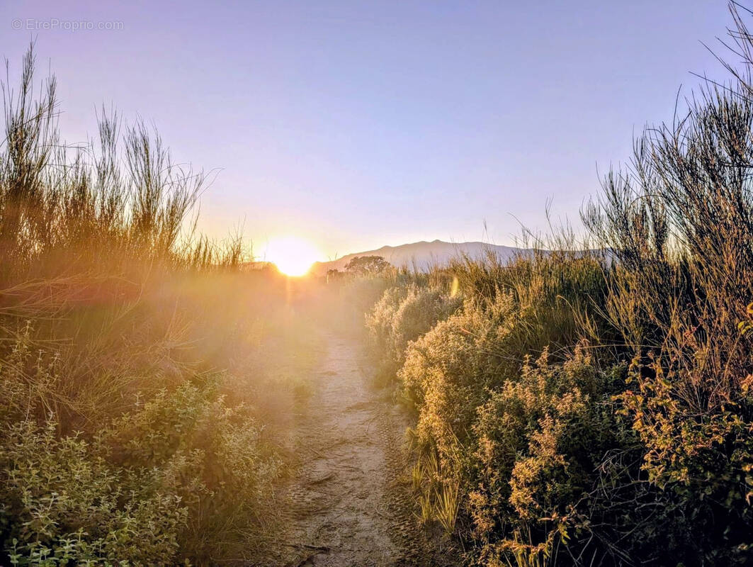 Appartement à BORGO