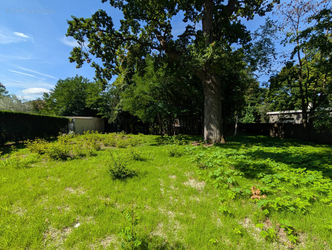 Terrain à MAISONS-LAFFITTE