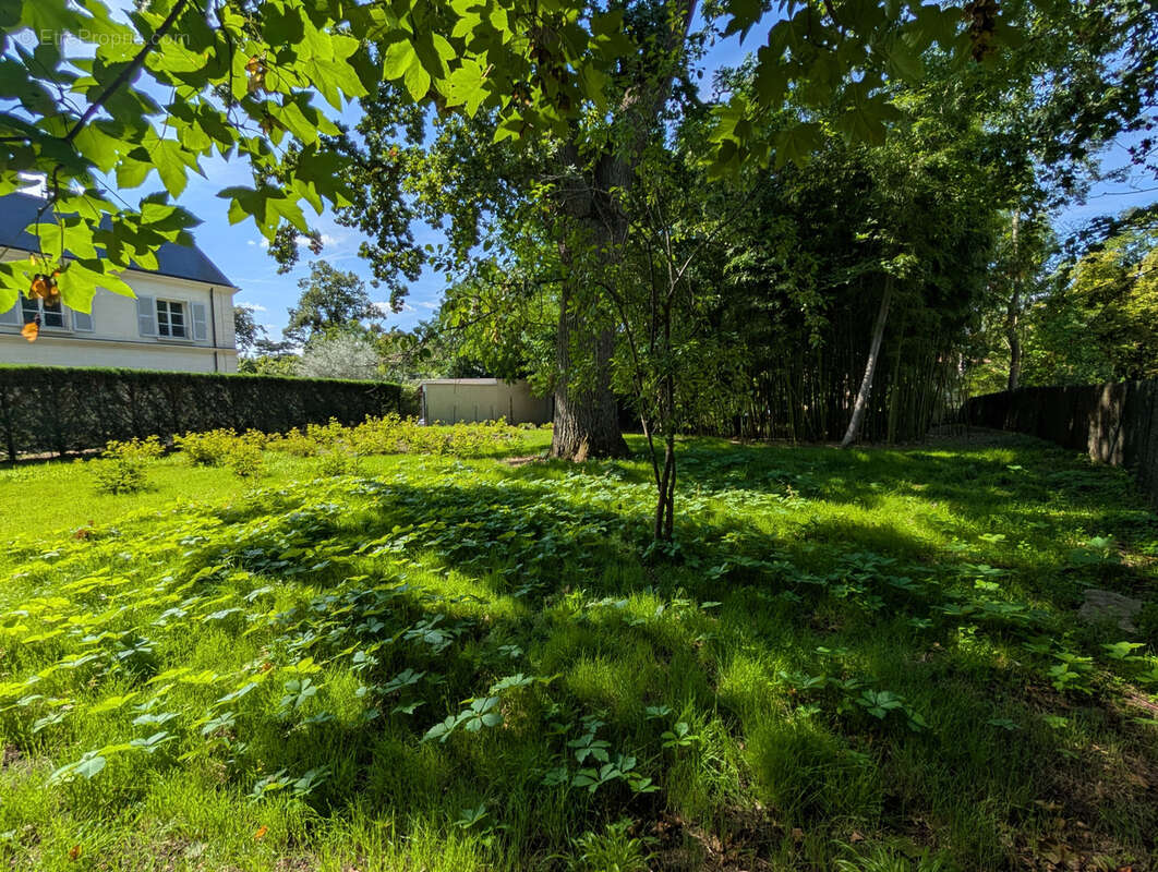 Terrain à MAISONS-LAFFITTE