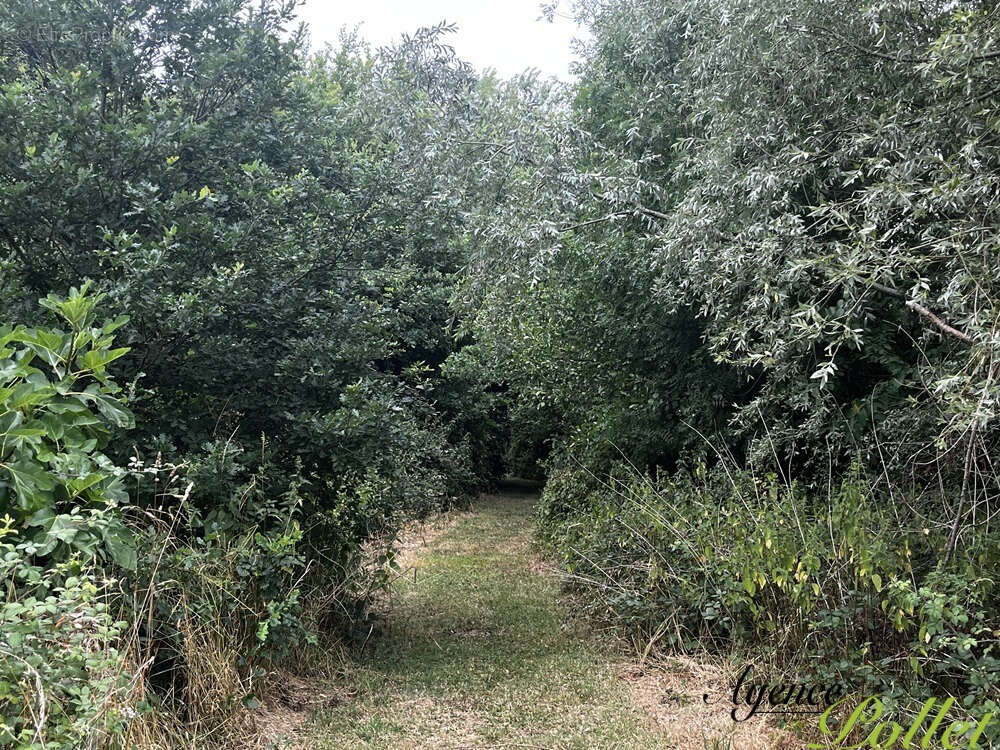 Maison à VAILLY-SUR-SAULDRE