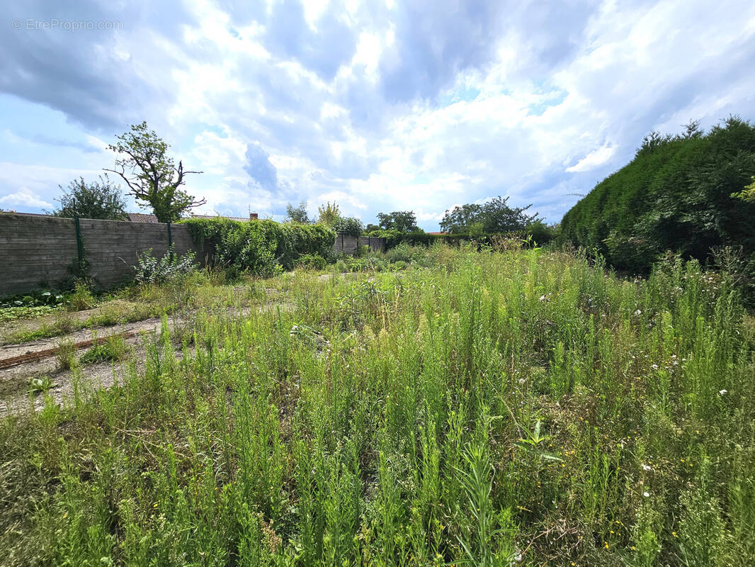Terrain à MONS-EN-PEVELE