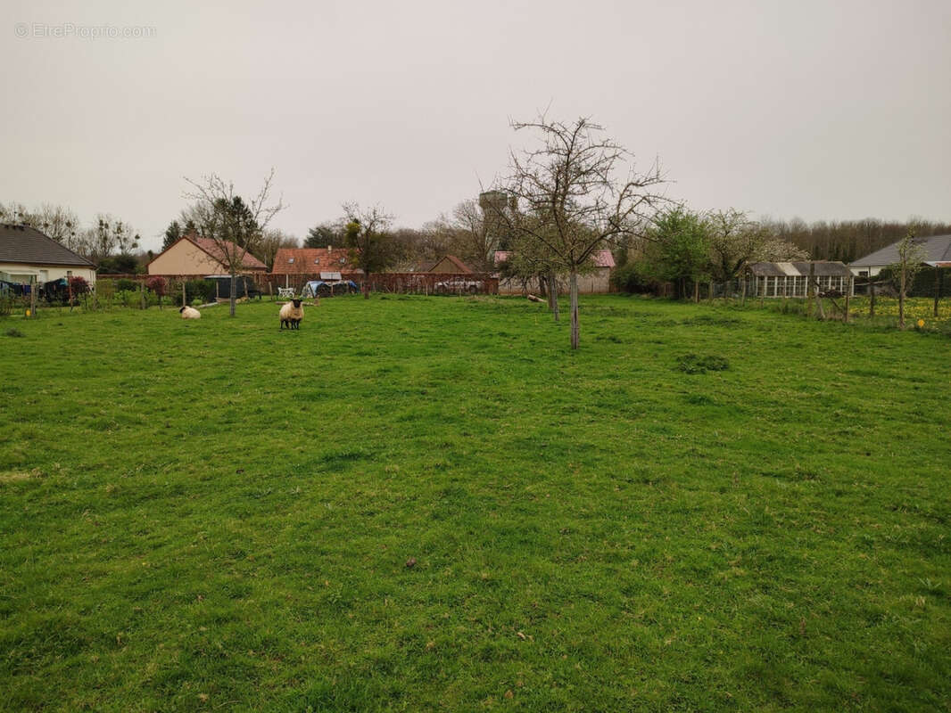 Terrain à CROIXDALLE