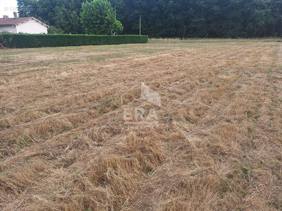 Terrain à MONTPON-MENESTEROL