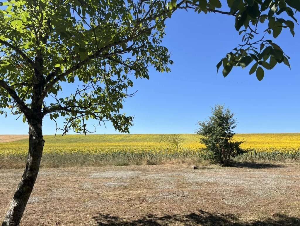 Maison à SAINT-CLAR