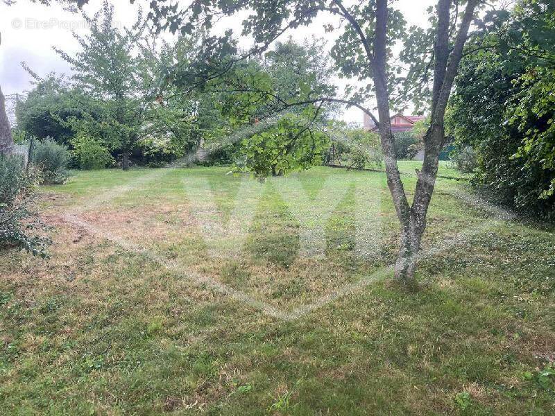 Terrain à BOUSSY-SAINT-ANTOINE
