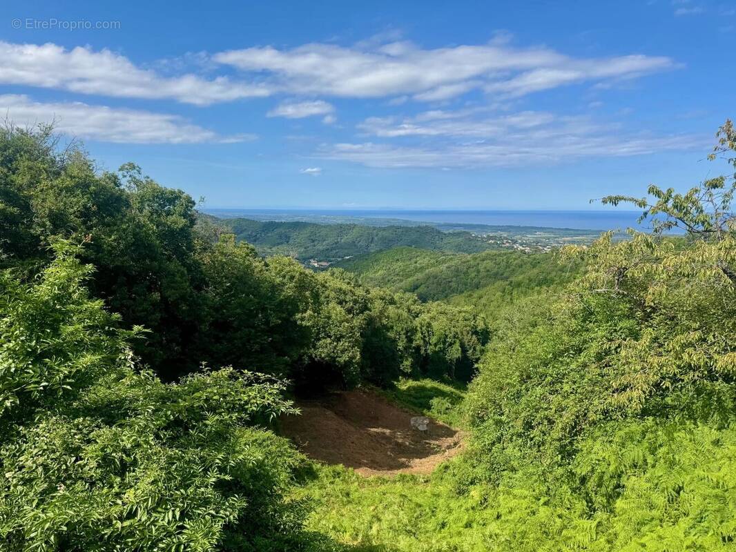 Terrain à TAGLIO-ISOLACCIO
