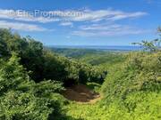 Terrain à TAGLIO-ISOLACCIO