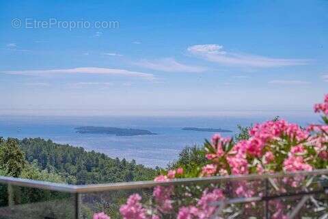 Maison à MANDELIEU-LA-NAPOULE