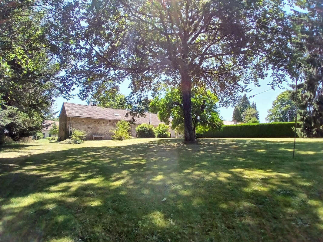 20250710_145059 - Maison à PENSOL