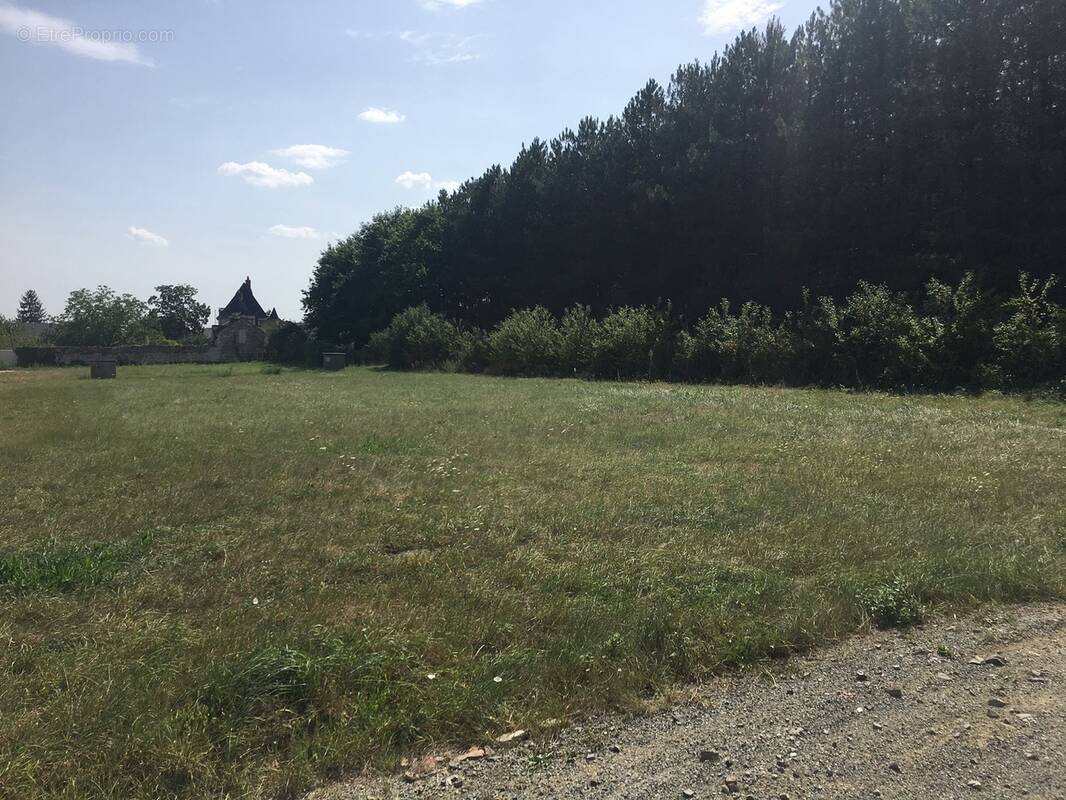 Terrain à SAINT-DENIS-SUR-LOIRE