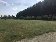 Terrain à SAINT-DENIS-SUR-LOIRE