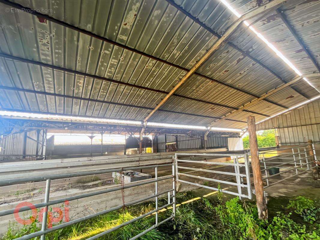 Maison à MARCILLY-EN-GAULT