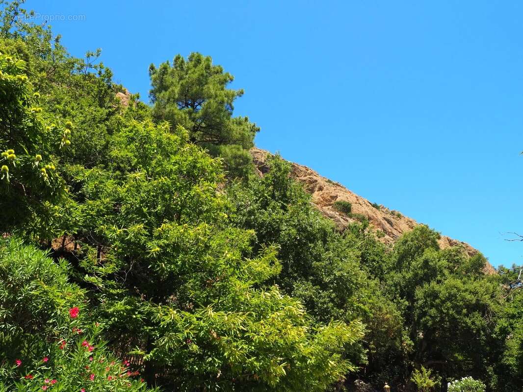 Maison à LA GARDE-FREINET