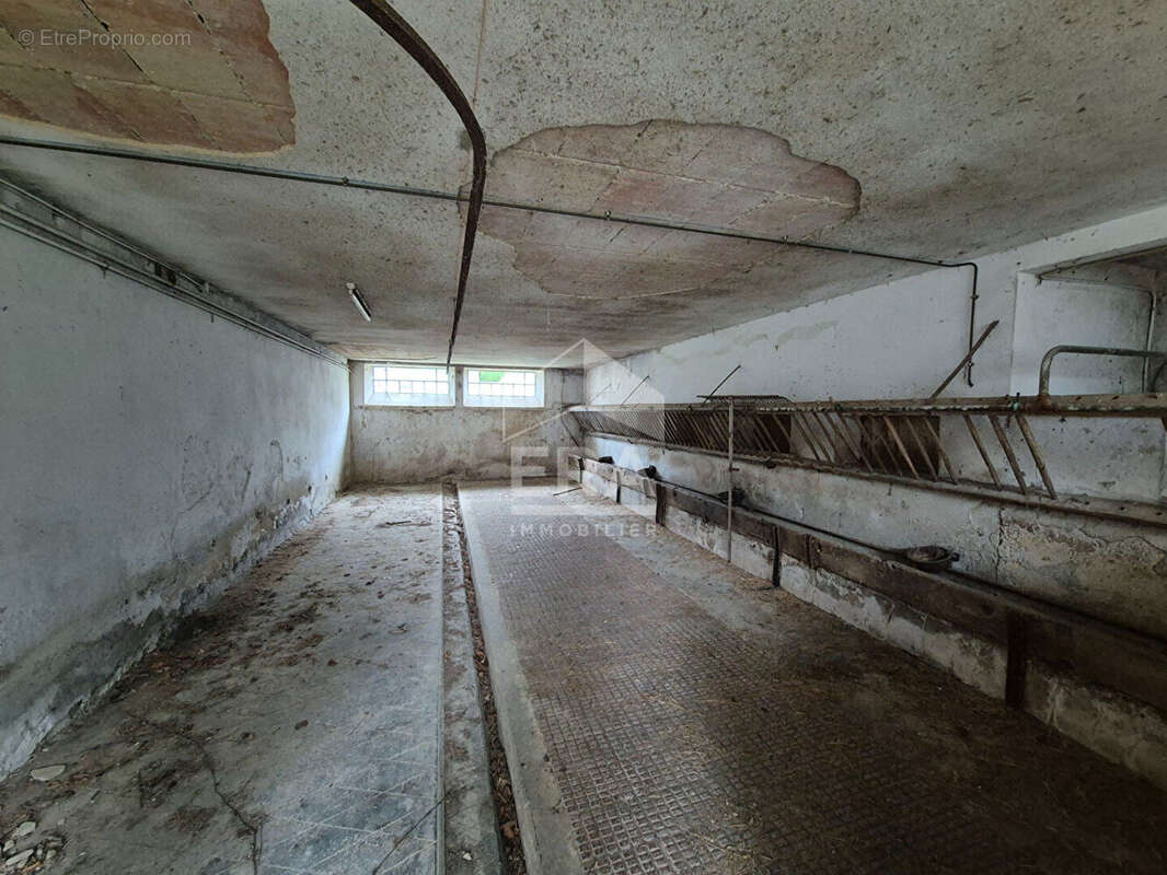 Maison à TREFFORT-CUISIAT