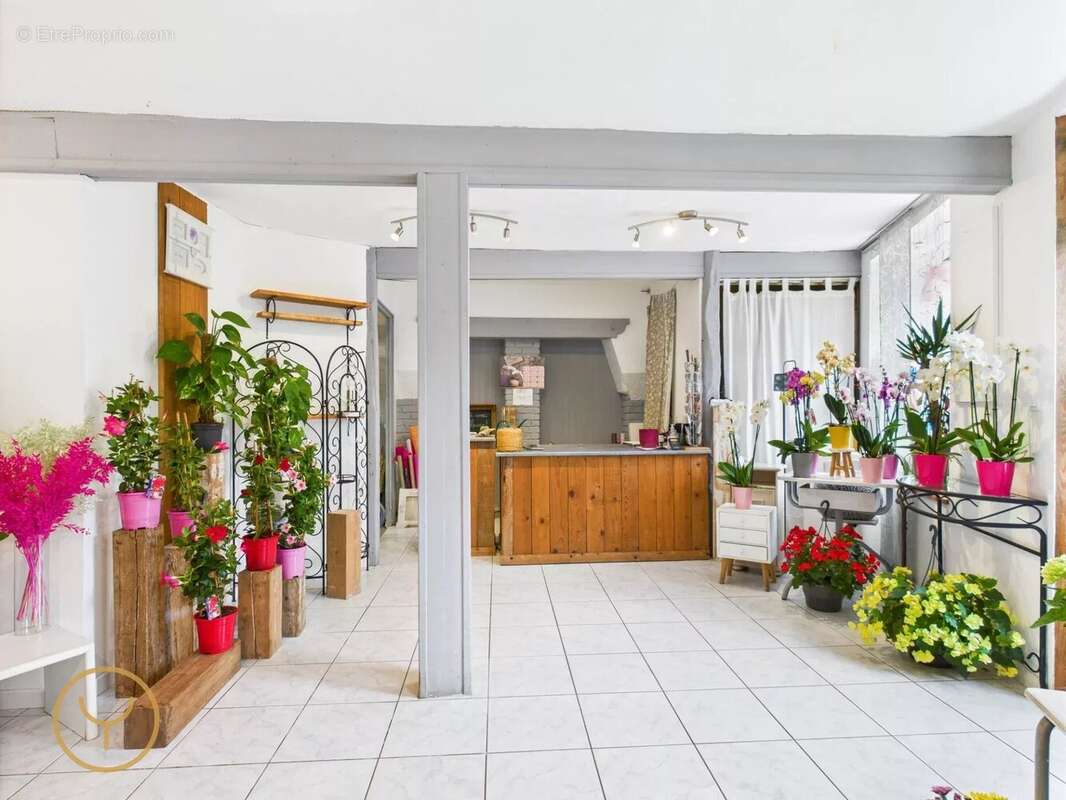 Commerce à SAINT-LYE