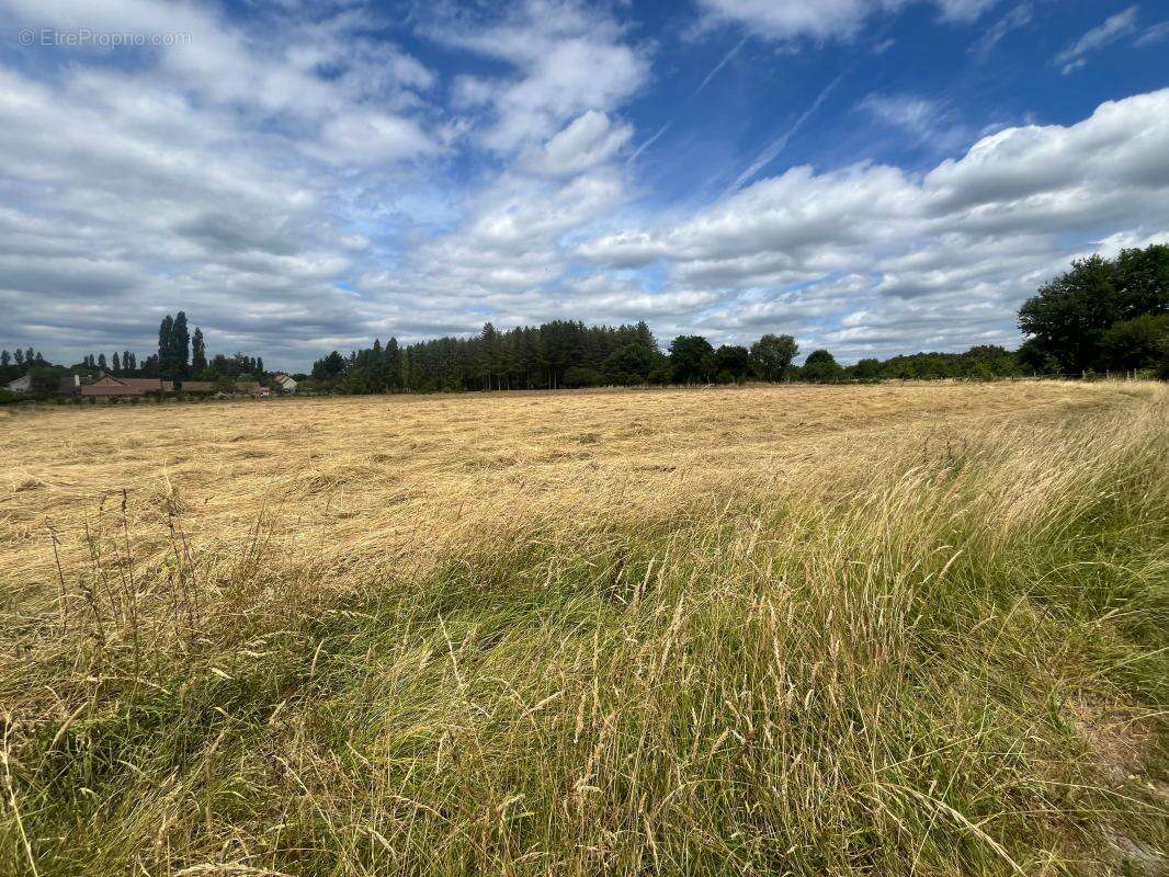 Terrain à MARCILLY-EN-GAULT
