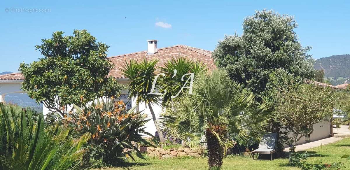 Maison à BASTELICACCIA