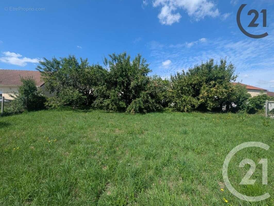Terrain à JUTIGNY