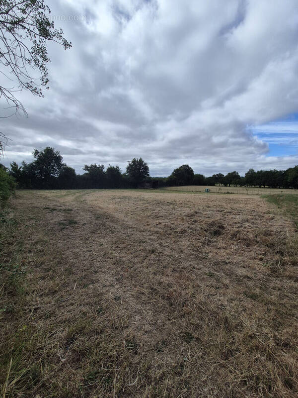 Photo 1 - Terrain à BAIN-DE-BRETAGNE