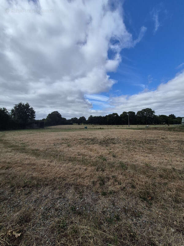 Photo 2 - Terrain à BAIN-DE-BRETAGNE