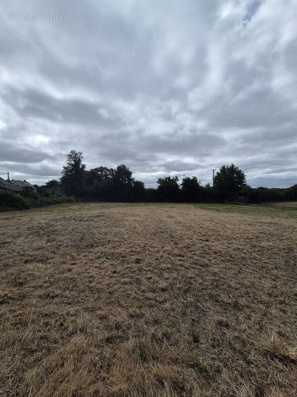 Photo 3 - Terrain à BAIN-DE-BRETAGNE