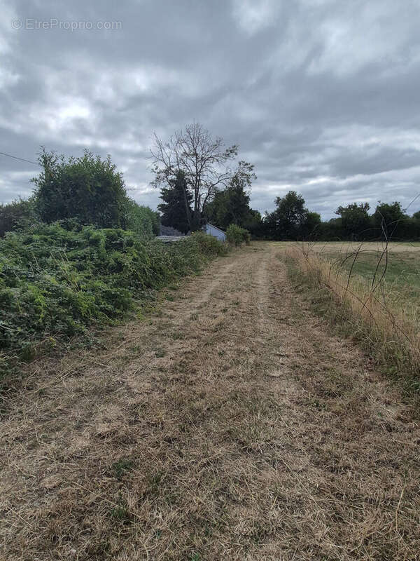 Photo 4 - Terrain à BAIN-DE-BRETAGNE