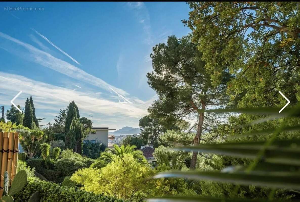 Appartement à LE CANNET