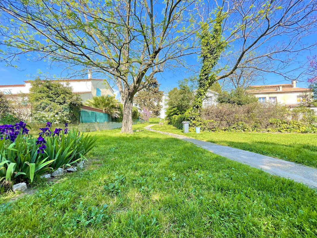 Photo 2 - Appartement à MONTPELLIER