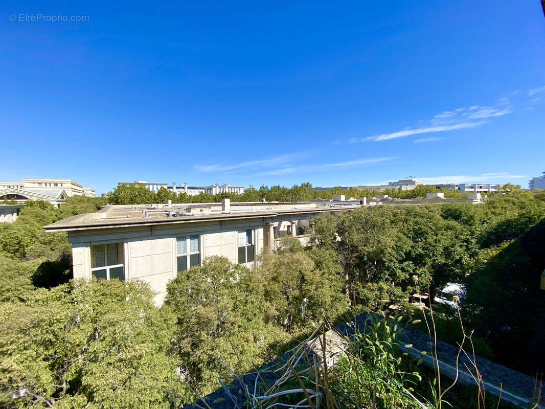 Photo 2 - Appartement à MONTPELLIER