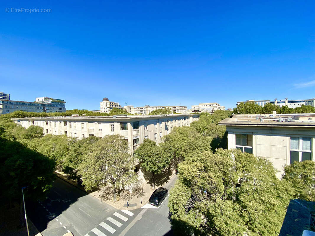 Photo 6 - Appartement à MONTPELLIER