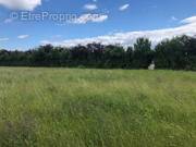 Terrain à MONTHODON