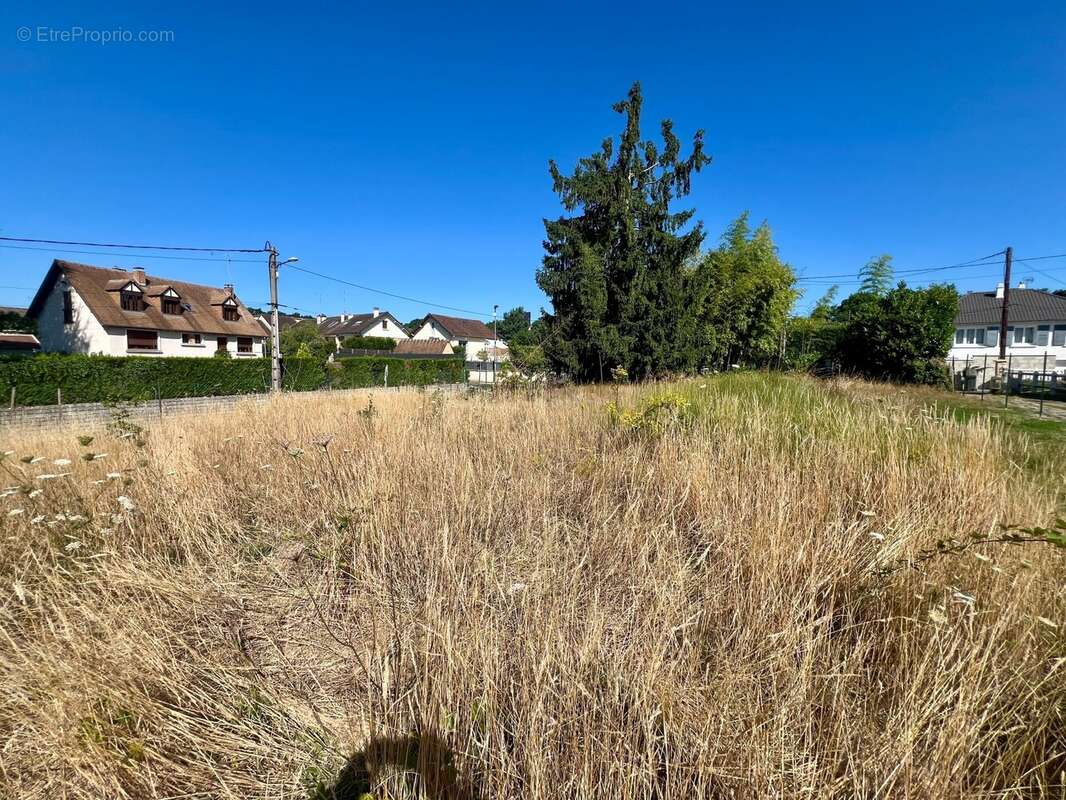 Terrain à BRUYERES-LE-CHATEL