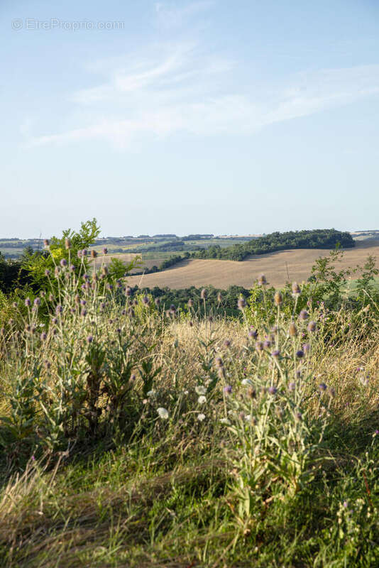 LMN2436 - Maison à JEGUN