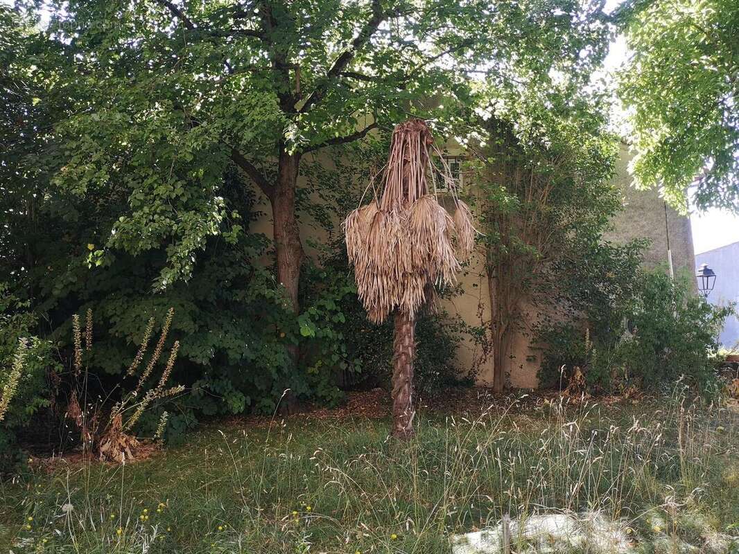 IMG20250717104417 - Maison à JEGUN