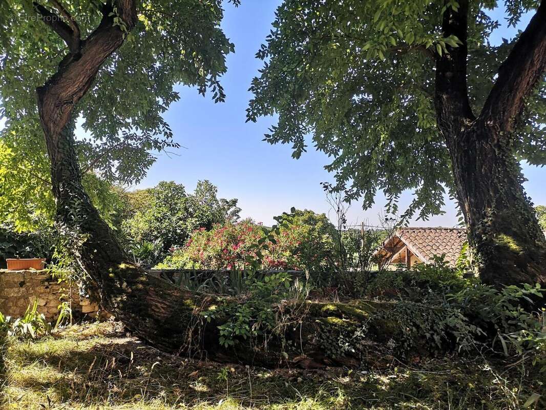 IMG20250717104554 - Maison à JEGUN