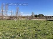 Terrain à GRAGNAGUE